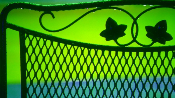 CHARTREUSE WROUGHT by Tamarra Views